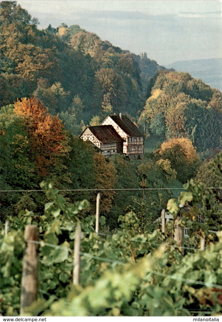 Blick Auf "Hinterburg" In Salenstein - Salenstein