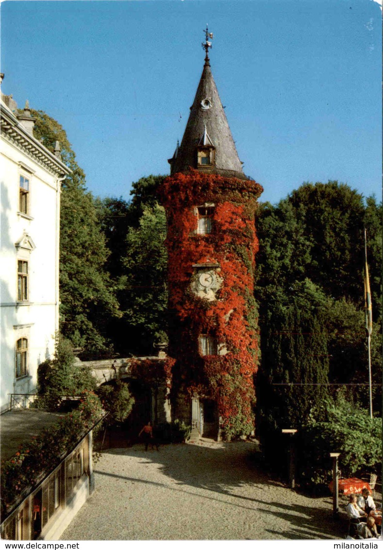 Kurhotel Schloss Steinegg - Hüttwilen / Thurgau * 13. 11. 1987 - Hüttwilen