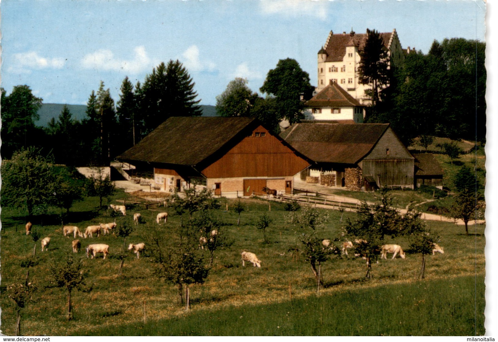 Schloß Sonnenberg, Stettfurt TG (811) * 9. 5. 1969 - Stettfurt