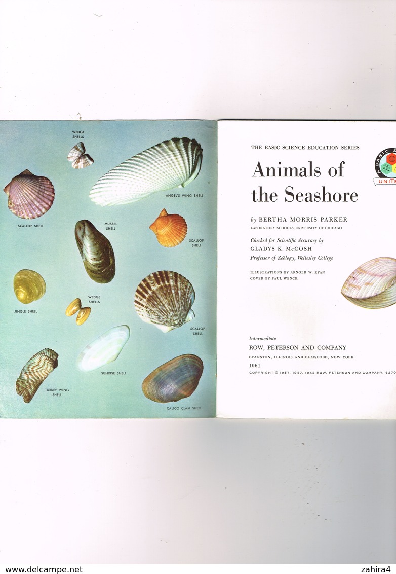 The Basic Science éducation Serie USA Animals Of The Seashore Bertha Morris Parker Intermediate Row Peterson And Company - Scienze