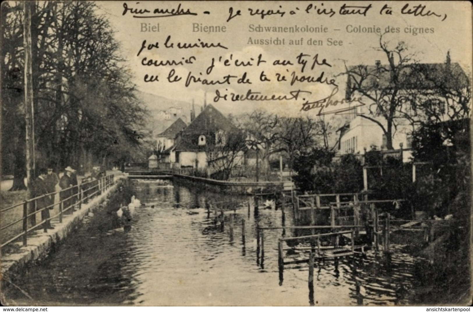 Cp Biel Bienne Kt. Bern Schweiz, Schwanenkolonie, Aussicht Auf Den See, Colonie Des Cignes - Bern