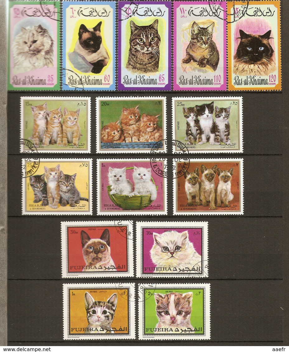 Emirats Ras-al-Kraima, Sharjah, Fujeira - Chats - Petit Lot De 15° - Lots & Kiloware (mixtures) - Max. 999 Stamps