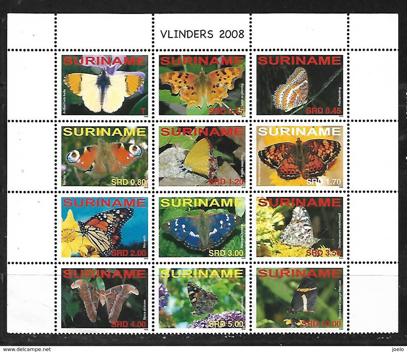 SURINAM 2008 BUTTERFLIES BLOCK MNH - Surinam