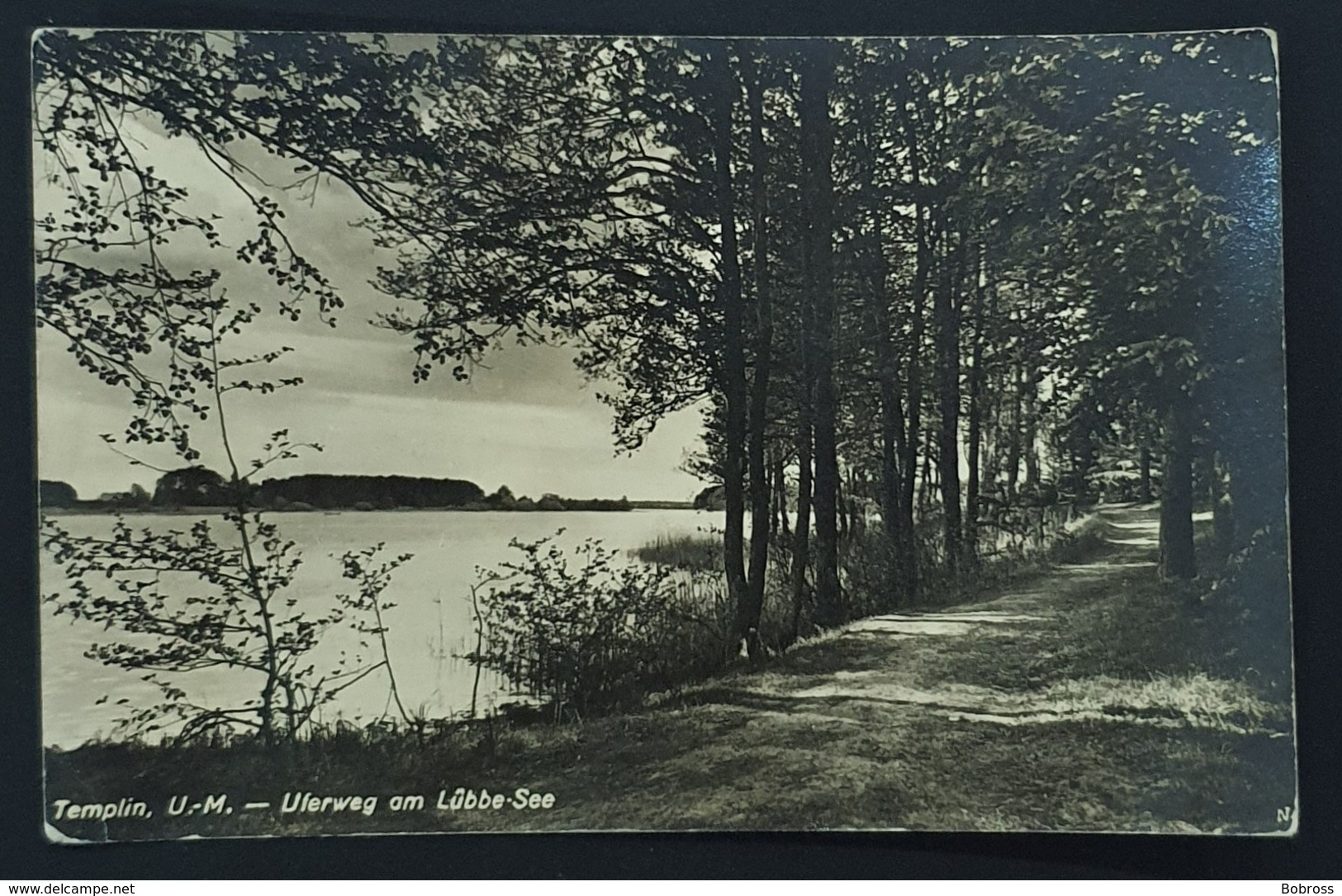 1964 Templin, Uferweg Am Lübbe See, DDR, Germany - Templin