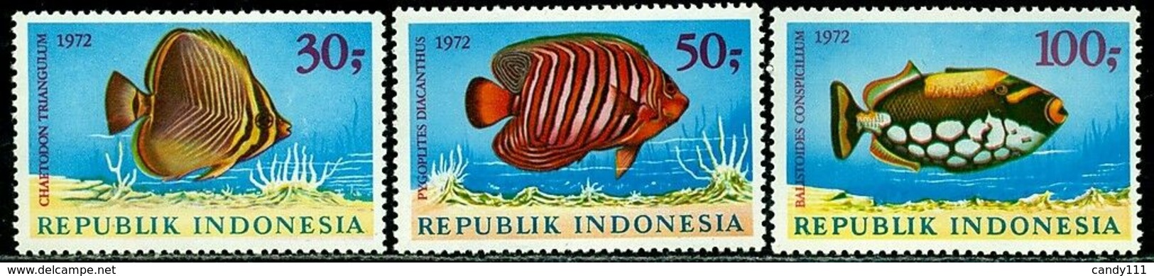 Indonesia 1972 Fish,Fische,Poisson,Piscis,Pesci,Triangle Butterfly,Mi.722-4,MNH - Meereswelt