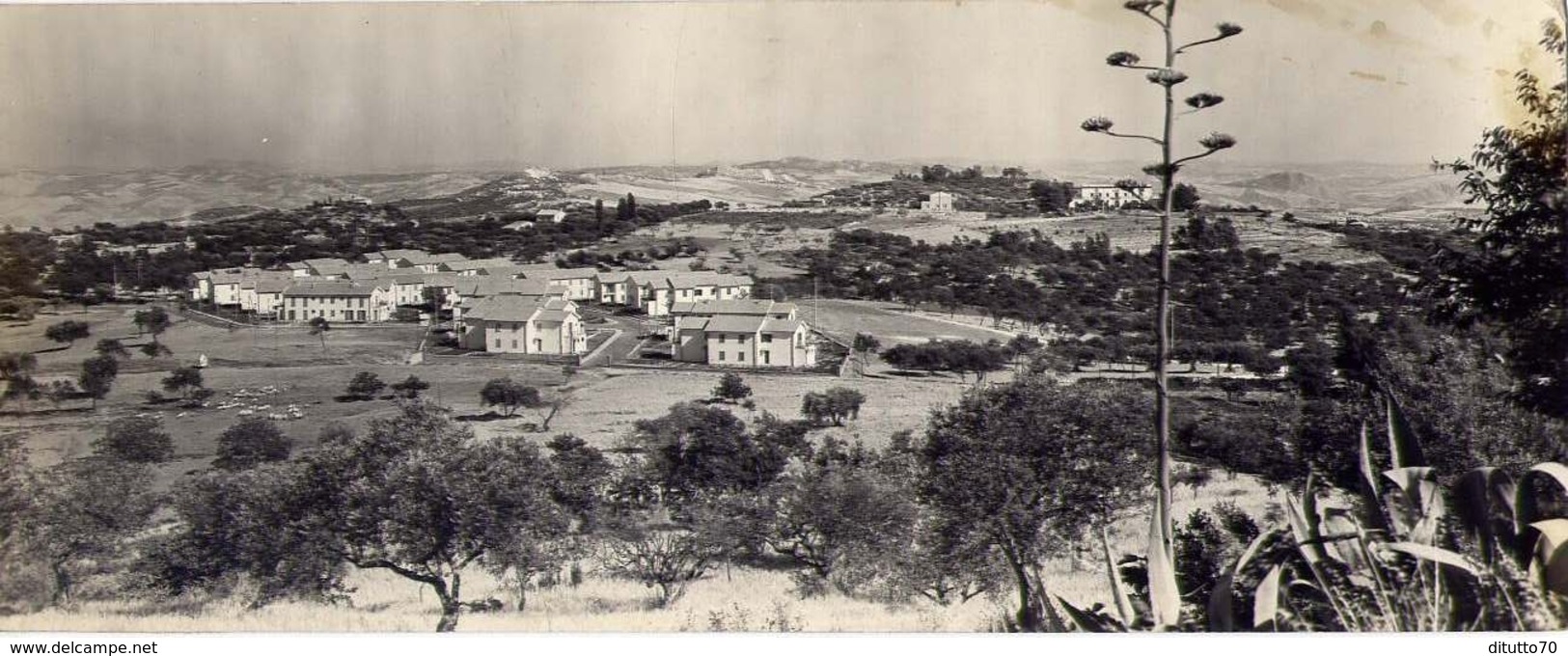 Caltanisetta - Fondo Panoramico E Villaggio Unrca Case - Formato Lungo Non  Viaggiata - Bozza – E 16 - Caltanissetta