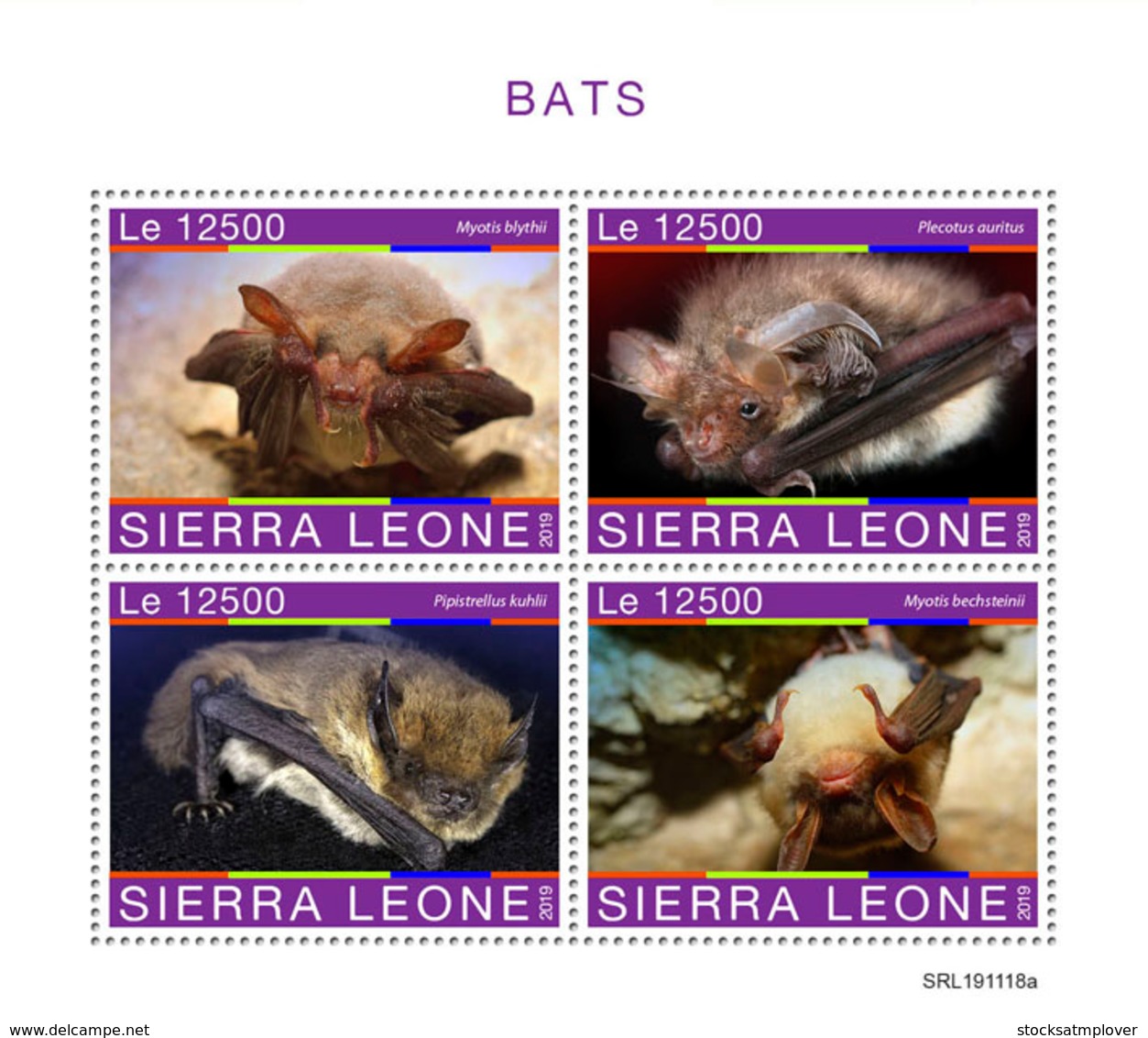 Sierra Leone  2019  Fauna  Bats  S202001 - Sierra Leone (1961-...)