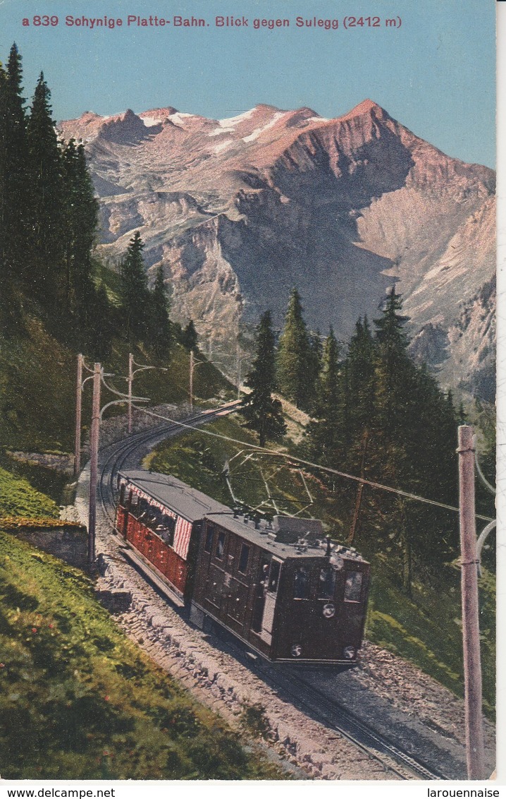 Suisse - GUNDLISCHWAND - Schynige Platte Bahn - Blick Gegen Sulegg - Gündlischwand
