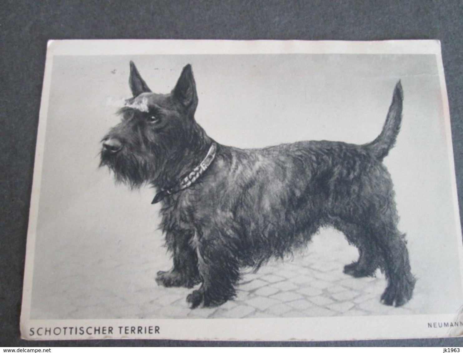 SCHOTTISCHER TERRIER, PRINTED BERLIN, TRAVEL FROM ZURICH 1935 - Chiens