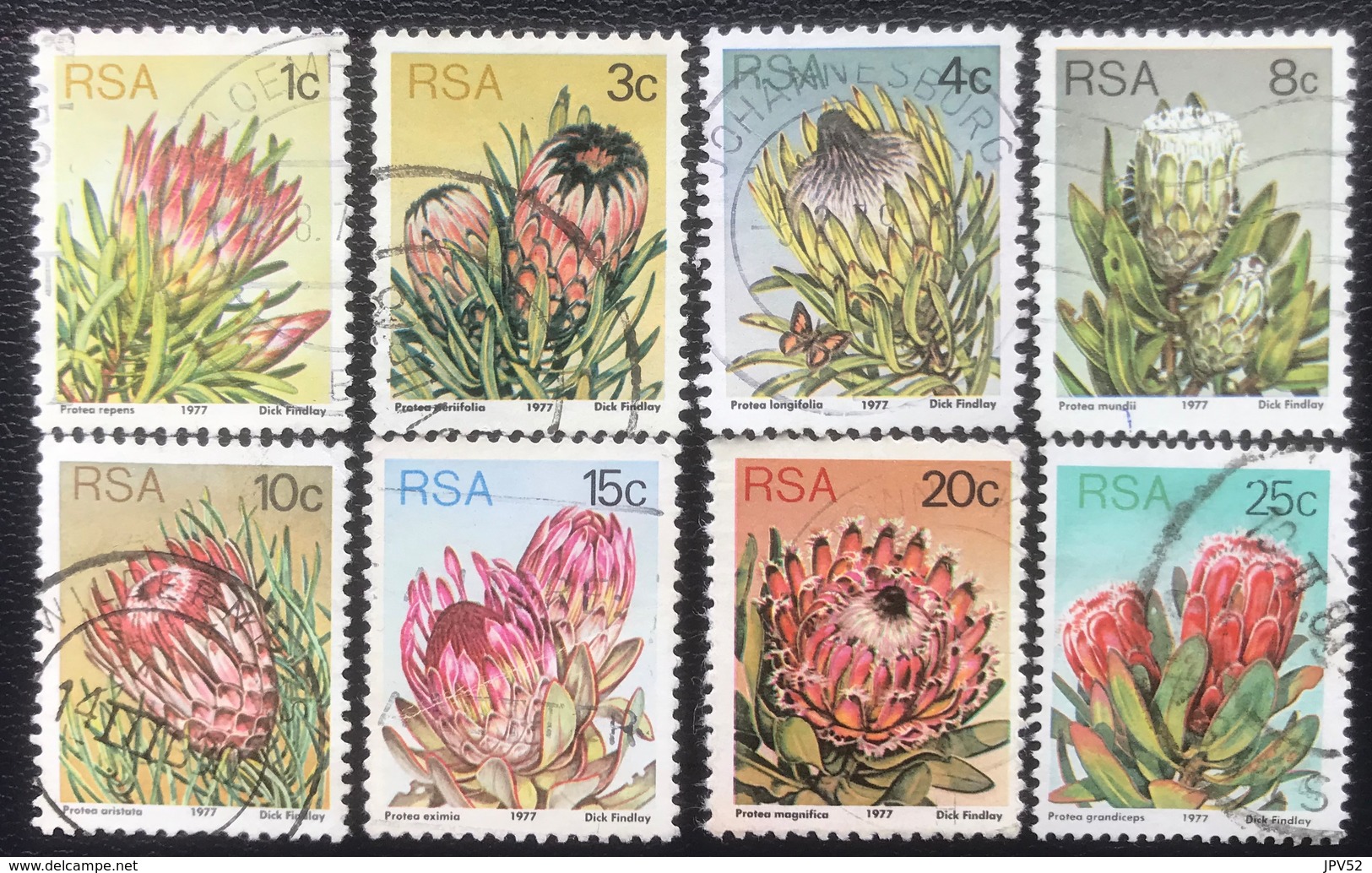 RSA  - (o) Used - Ref 12 - 1977 - Protea - Usados