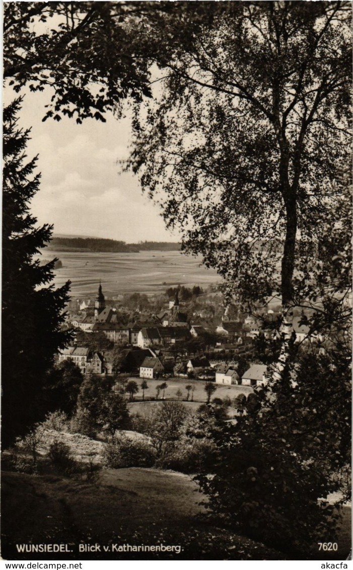 CPA AK Wunsiedel - Blick V. Katharinenberg GERMANY (964408) - Wunsiedel