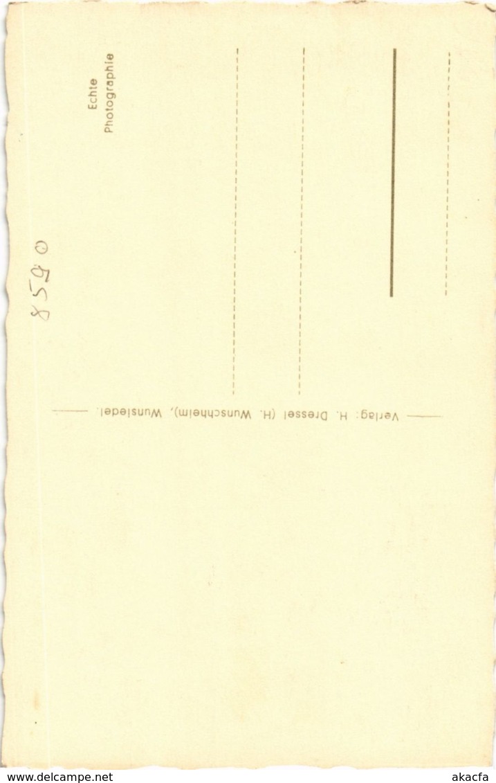 CPA AK Wunsiedel - Blick Vom Katharinenberg GERMANY (964431) - Wunsiedel