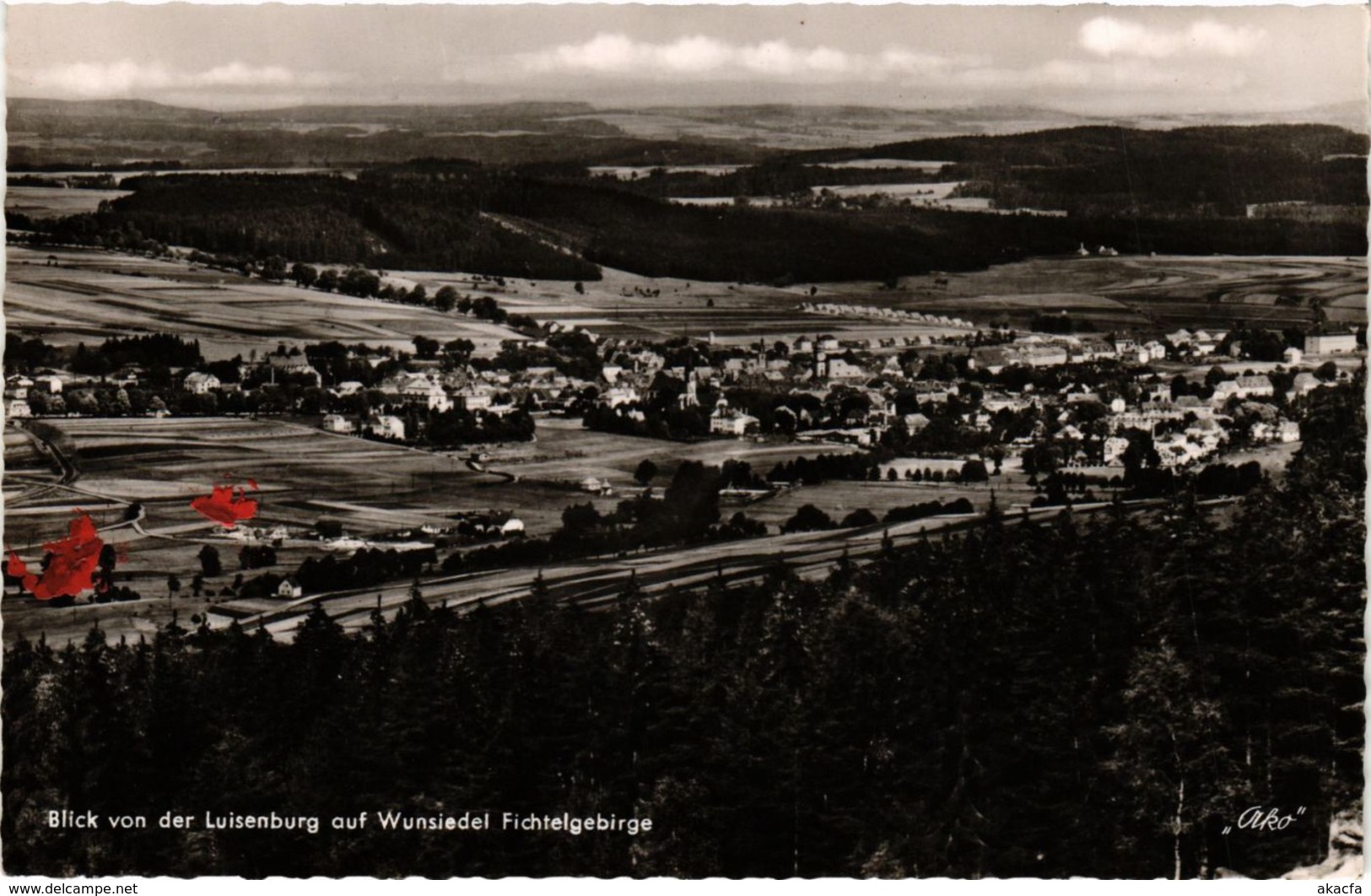 CPA AK Wunsiedel - Blick Von Der Luisenburg Auf Wunsiedel GERMANY (964451) - Wunsiedel