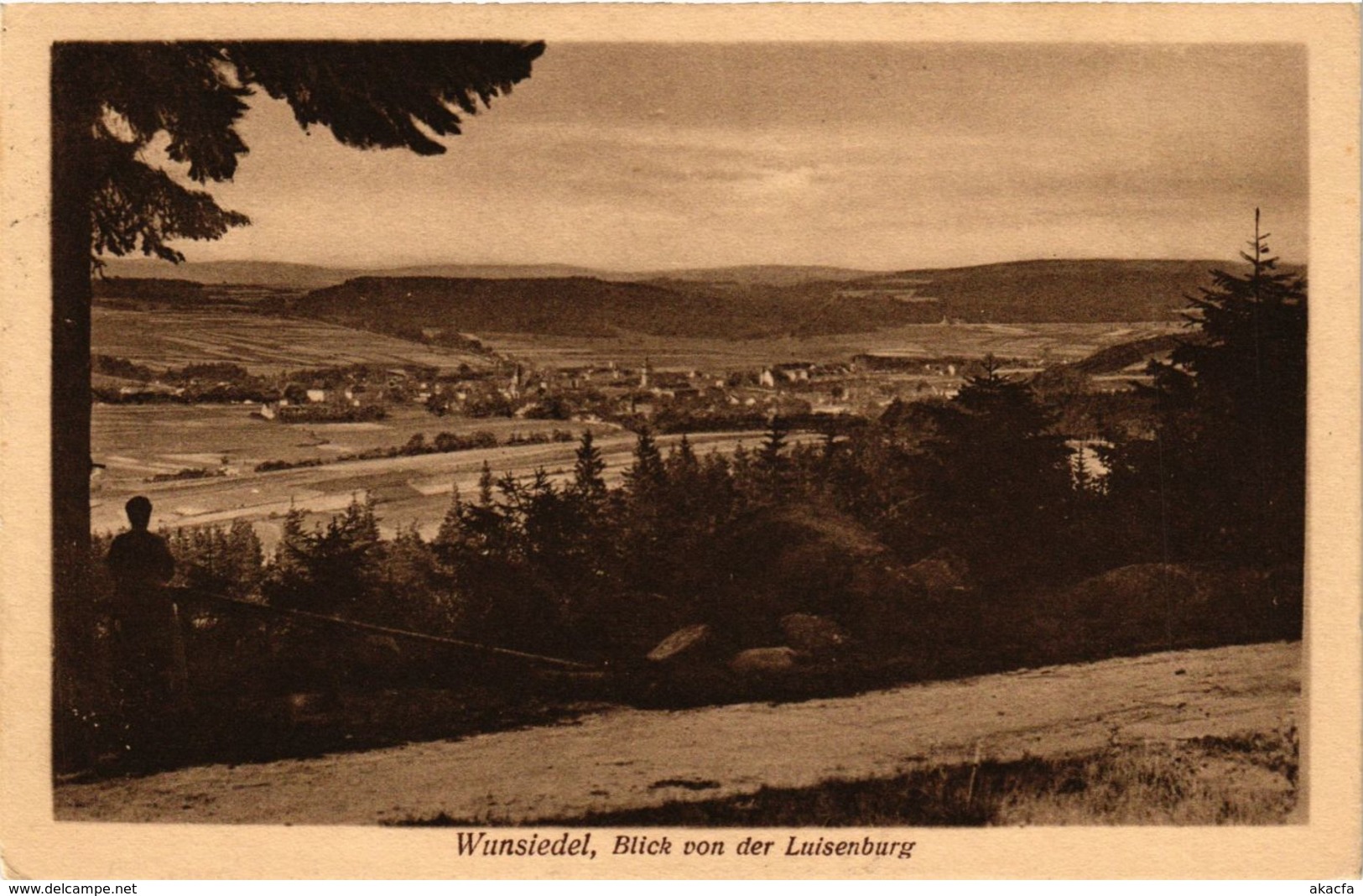 CPA AK Wunsiedel - Blick Von Der Luisenburg GERMANY (964535) - Wunsiedel