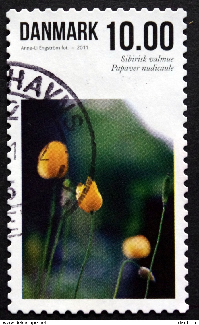 Denmark 2011 FLOWERS  Minr.1657 A    (O)  ( Lot  L 3120 ) - Gebraucht