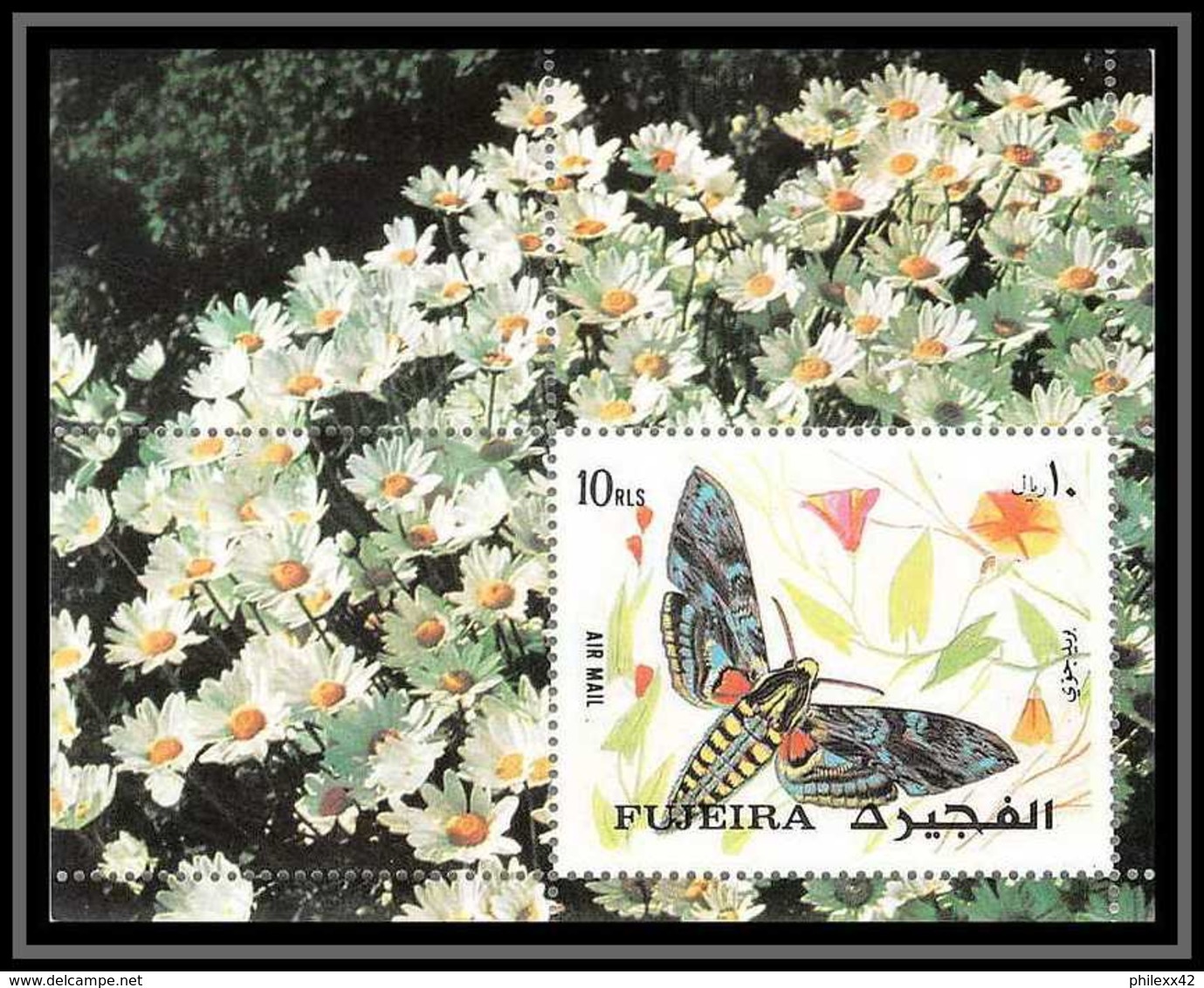 Fujeira - 1577/ Bloc N° 134 A Papillons (butterflies) MOTHS ** MNH - Fujeira