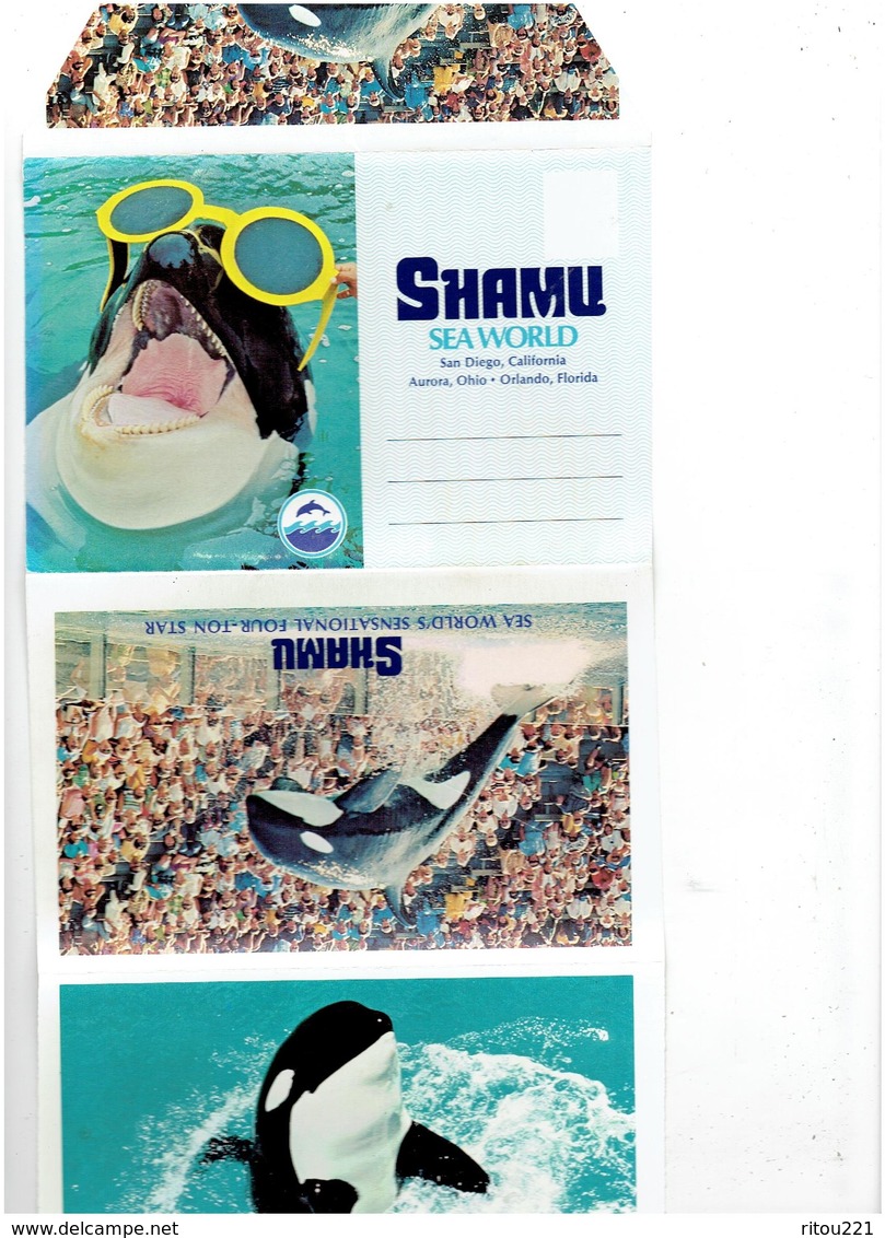 Dépliant California > San Diego Shamu Sea World's HULA FLIPPER RIDE DAREDEVIL BAREBACK RIDE Spectacle WHALE - San Diego