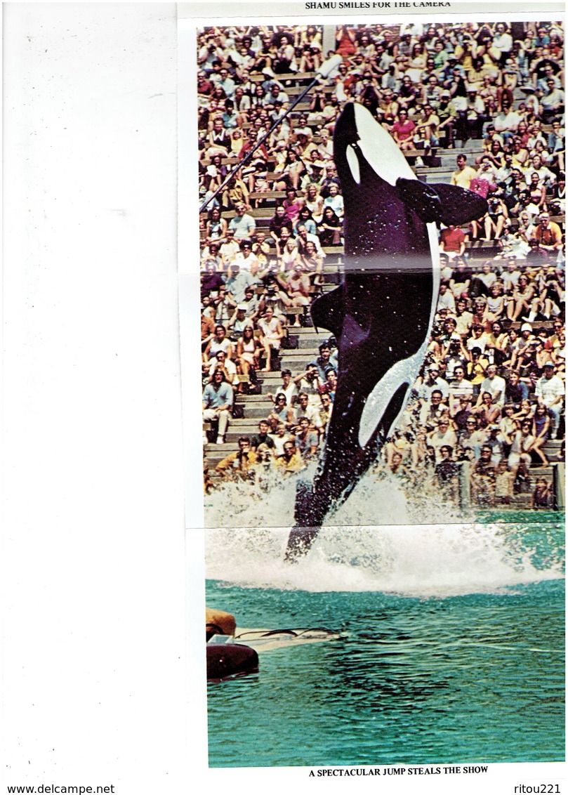 Dépliant California > San Diego Shamu Sea World's HULA FLIPPER RIDE DAREDEVIL BAREBACK RIDE Spectacle WHALE - San Diego