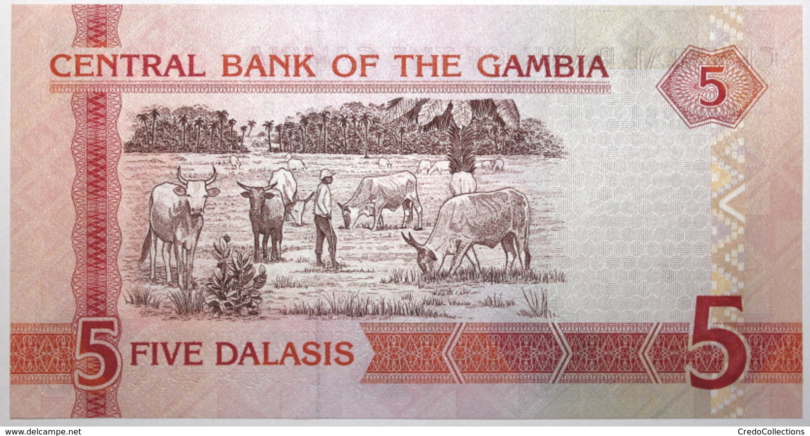 Gambie - 5 Dalasis - 2013 - PICK 25a.3 - NEUF - Gambia