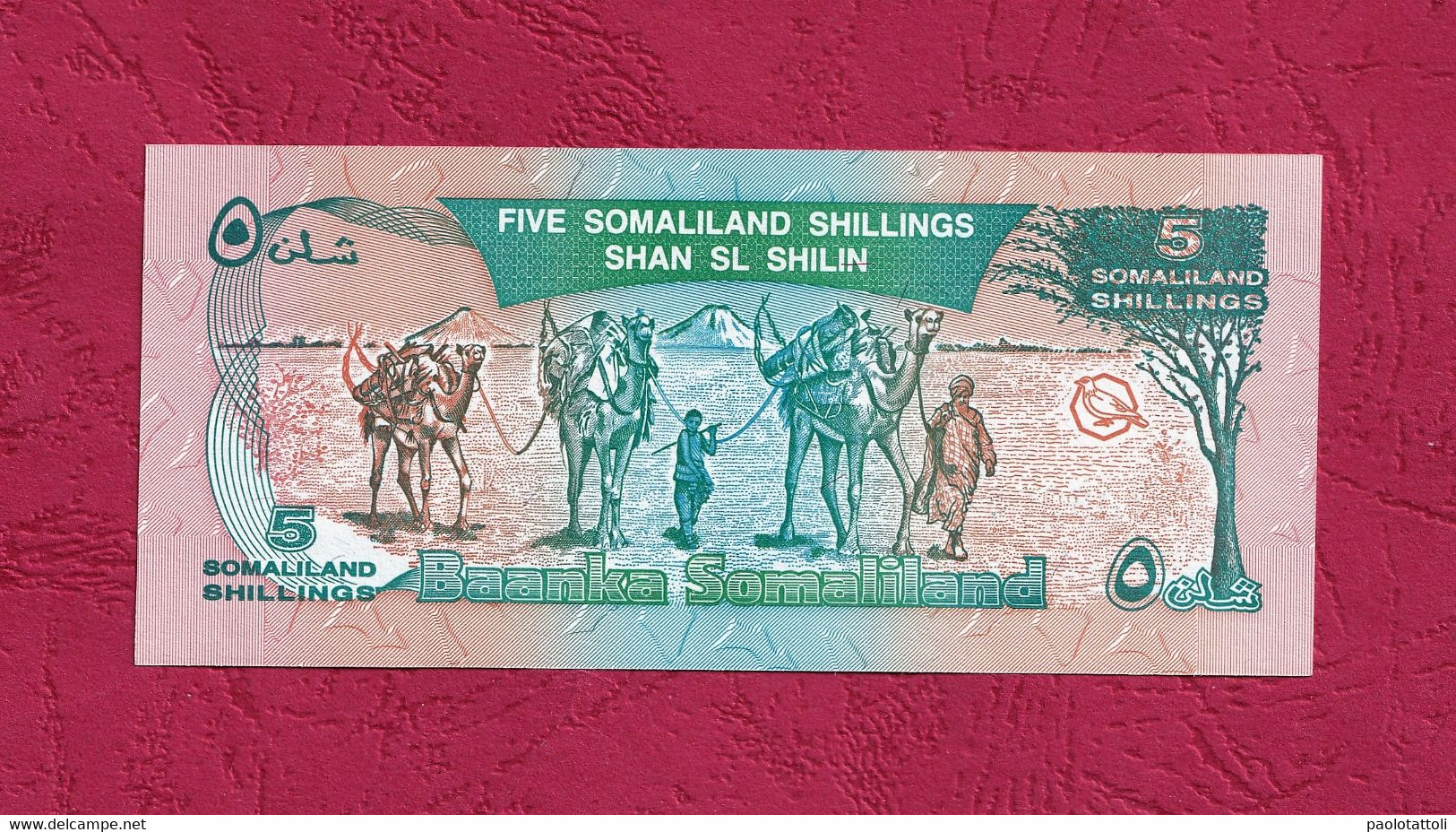 Somaliland, 1994- 5 Somaliland Shilling. Prefix AH. UNC - Somalia