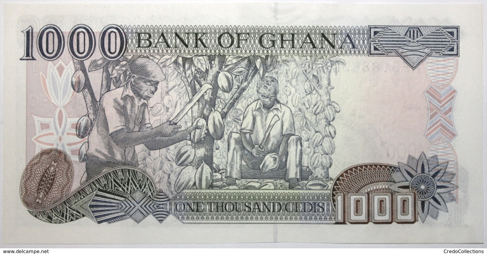 Ghana - 1000 Cedis - 2003 - PICK 32i - NEUF - Ghana