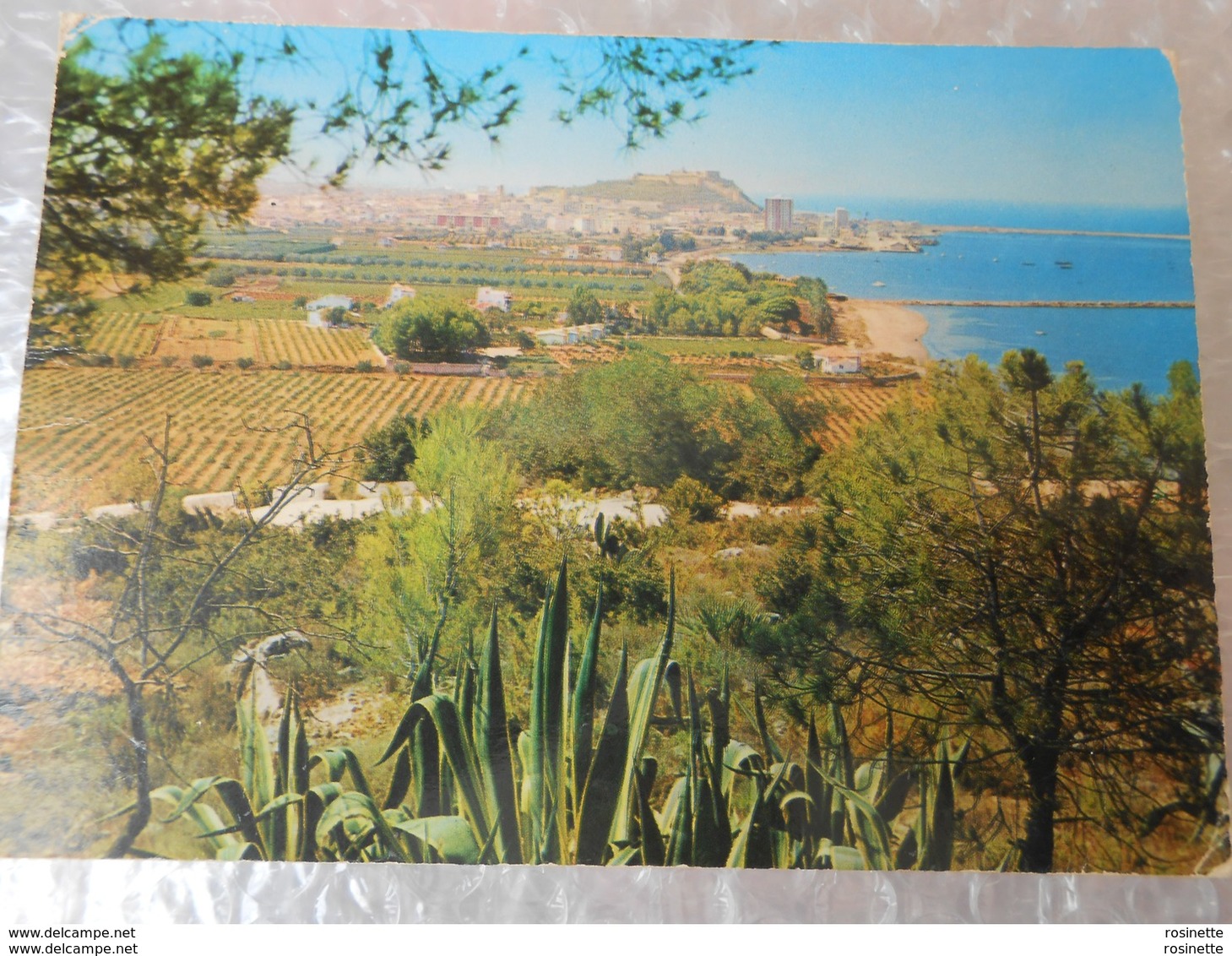 ESPAGNE/ COMUNIDAD VALENCIANA / ALICANTE/  DENIA  Viste Général Desde San Nicolas - Alicante