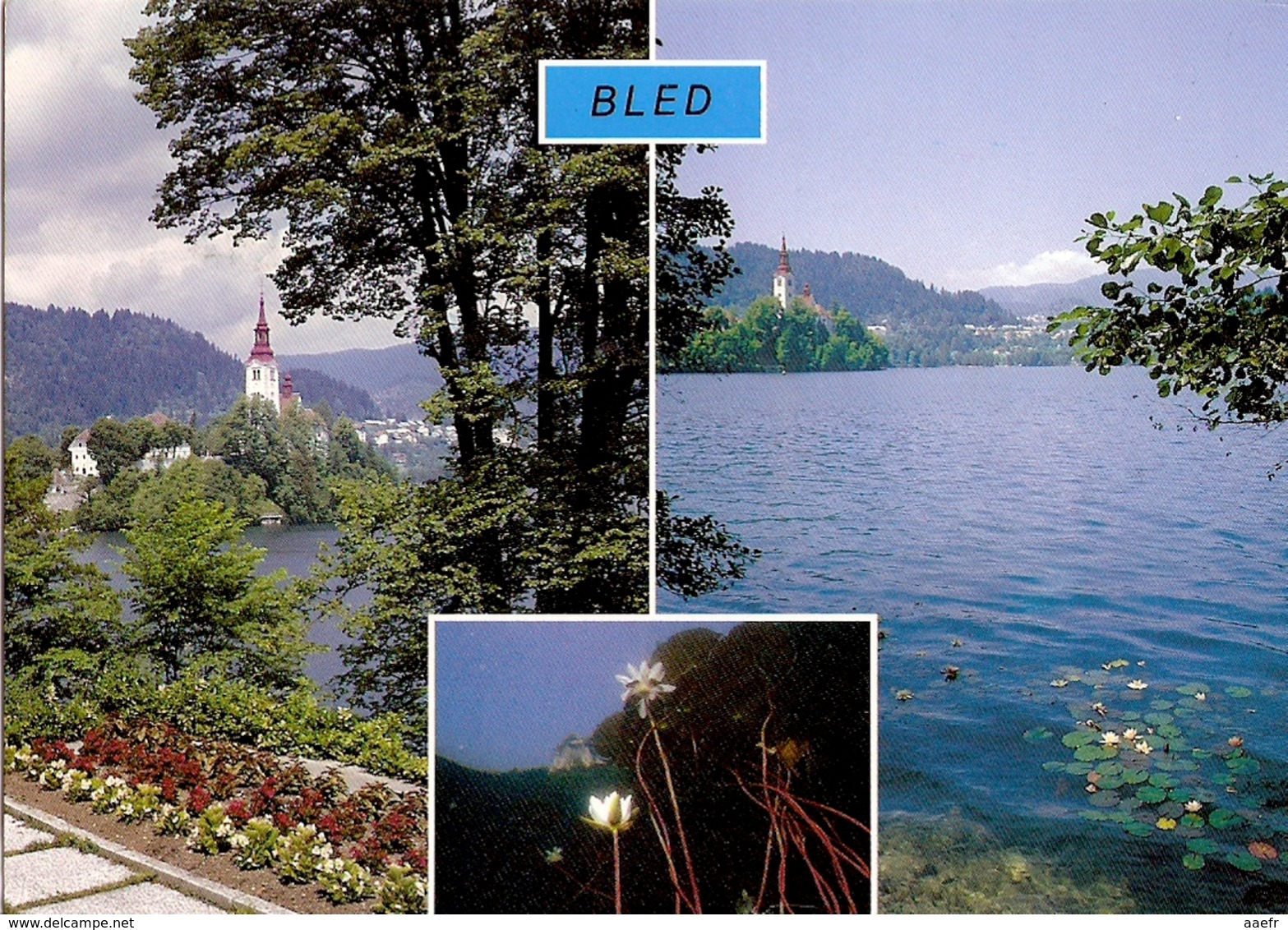 CP Yougoslavie 1988 - Bled - Joegoslavië