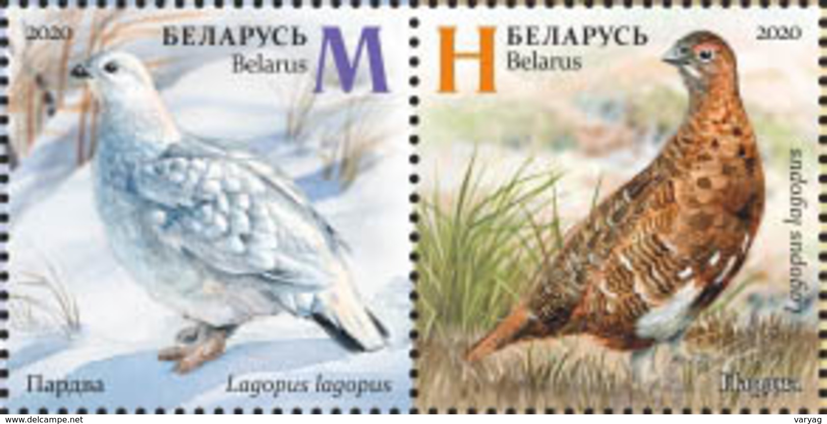 Belarus 2020 Fauna Seasonal Variations Hare Weasel Partridge Bird Birds Mammals 6v MNH - Bielorrusia