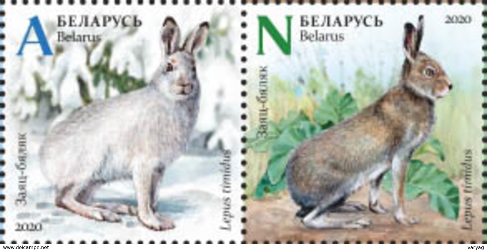 TH Belarus 2020 Fauna Seasonal Variations Hare Weasel Partridge Bird Birds Mammals 6v MNH - Otros & Sin Clasificación