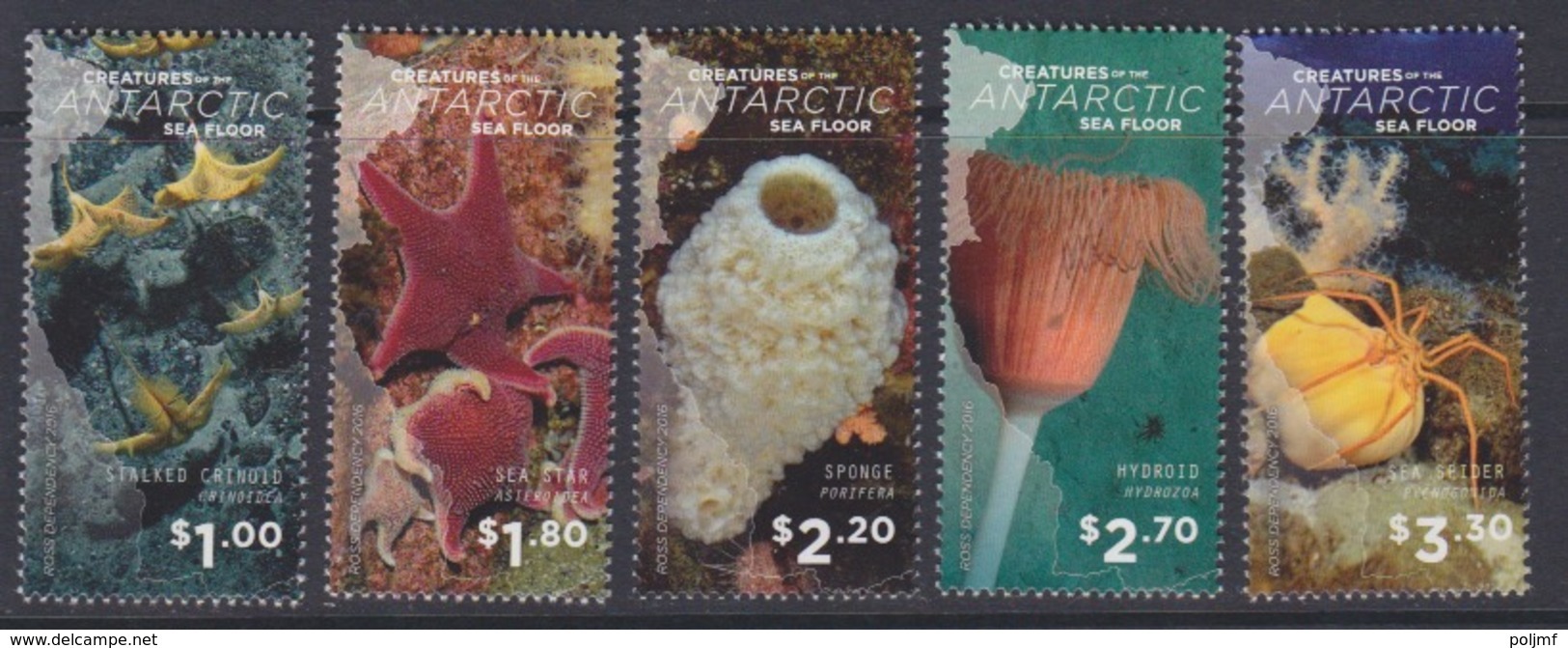 Ross, N° 156 à 160  (Créatures Antarctiques : Crinoid, Asterie, Eponge, Hydroid, Araignée) Neuf ** - Unused Stamps