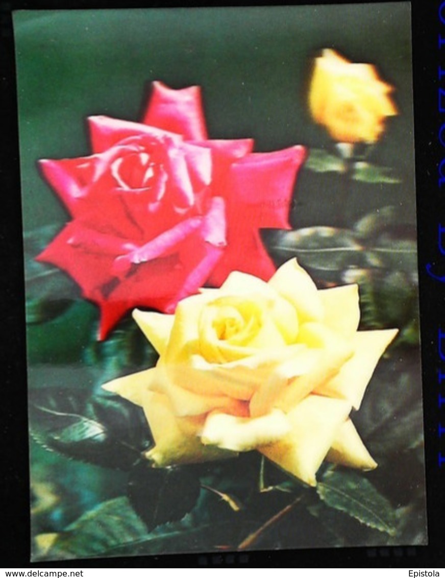 ROSE - Fantaisie Relief - CARTE 3 D - 3 DIMENSION POSTCARD - Cartes Stéréoscopiques