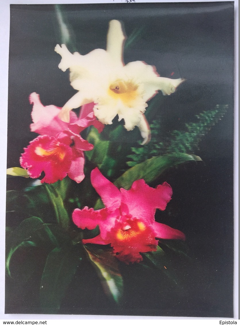 Orchidée - Orchid - Fantaisie Relief - CARTE 3 D - 3 DIMENSION POSTCARD - Cartes Stéréoscopiques