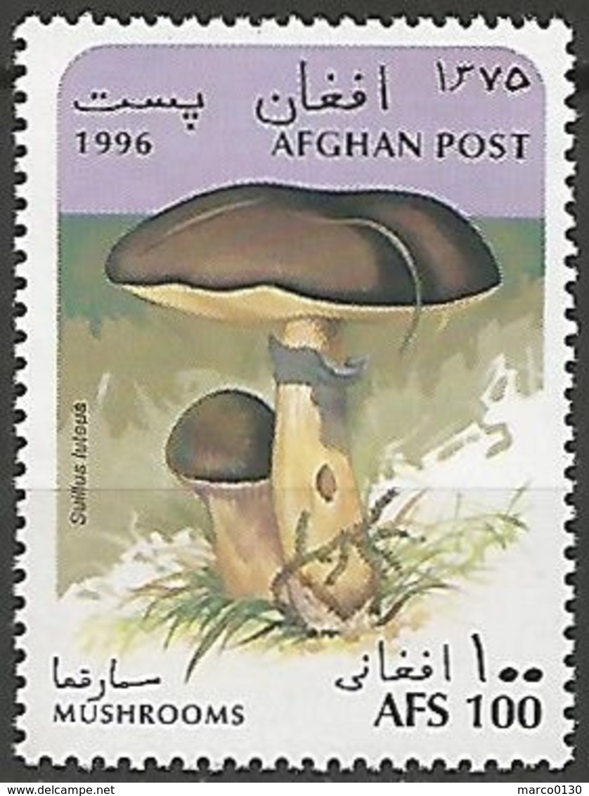 AFGHANISTAN N° 1500 NEUF - Afghanistan