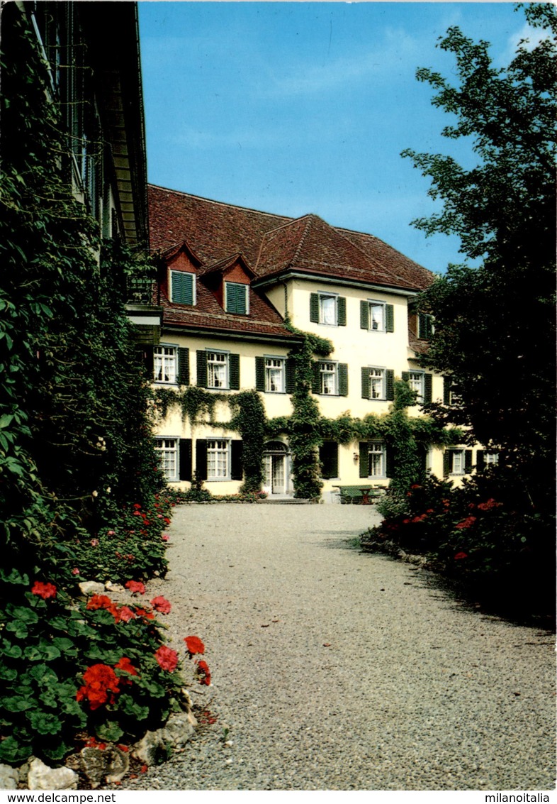 Schloss Mammern / TG Am Bodensee-Untersee (37872) * 23. 7. 1985 - Mammern