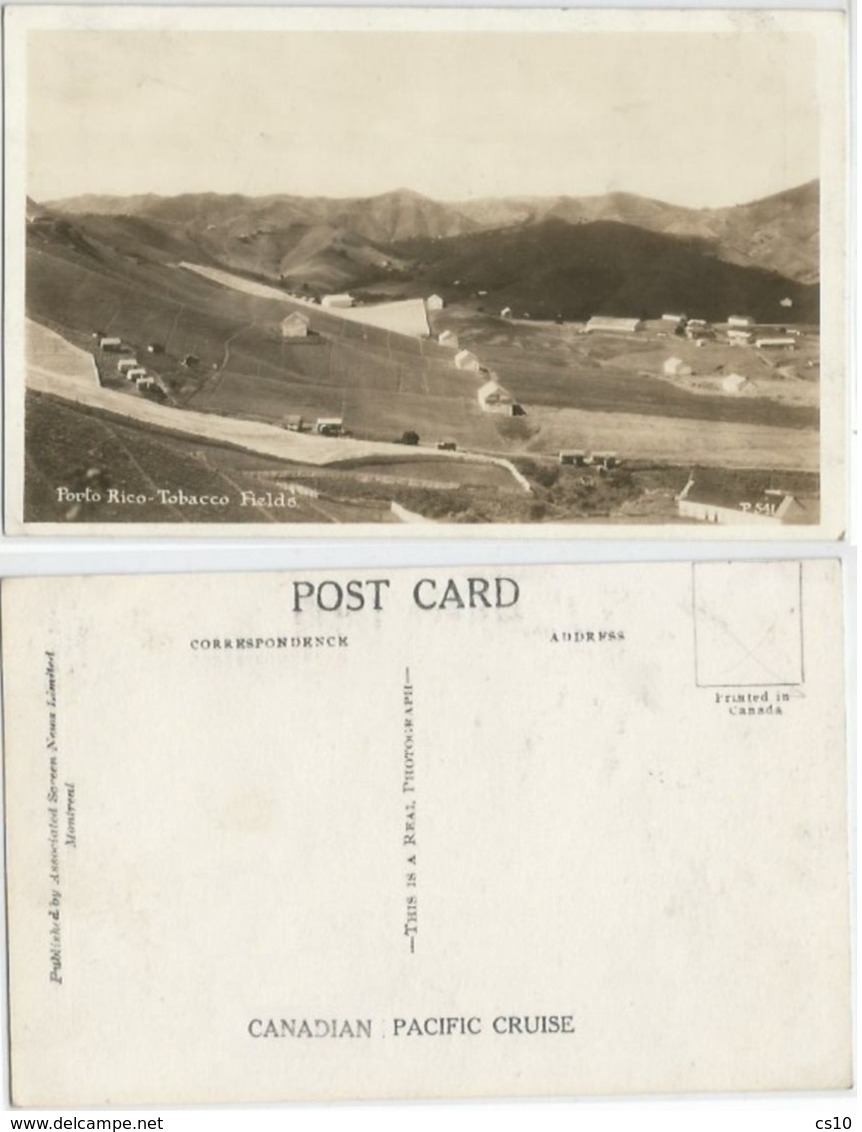 Tobacciana Tobacco Fields In Puerto Rico B/w Unused PPC #P541 From Canadian Pacific Cruise - Tobacco