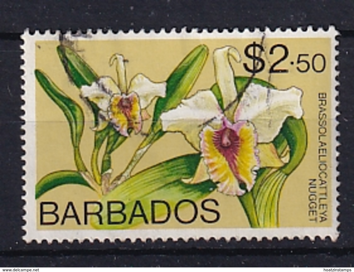 Barbados: 1974/77   Orchids  SG498    $2.50    Used - Barbados (1966-...)