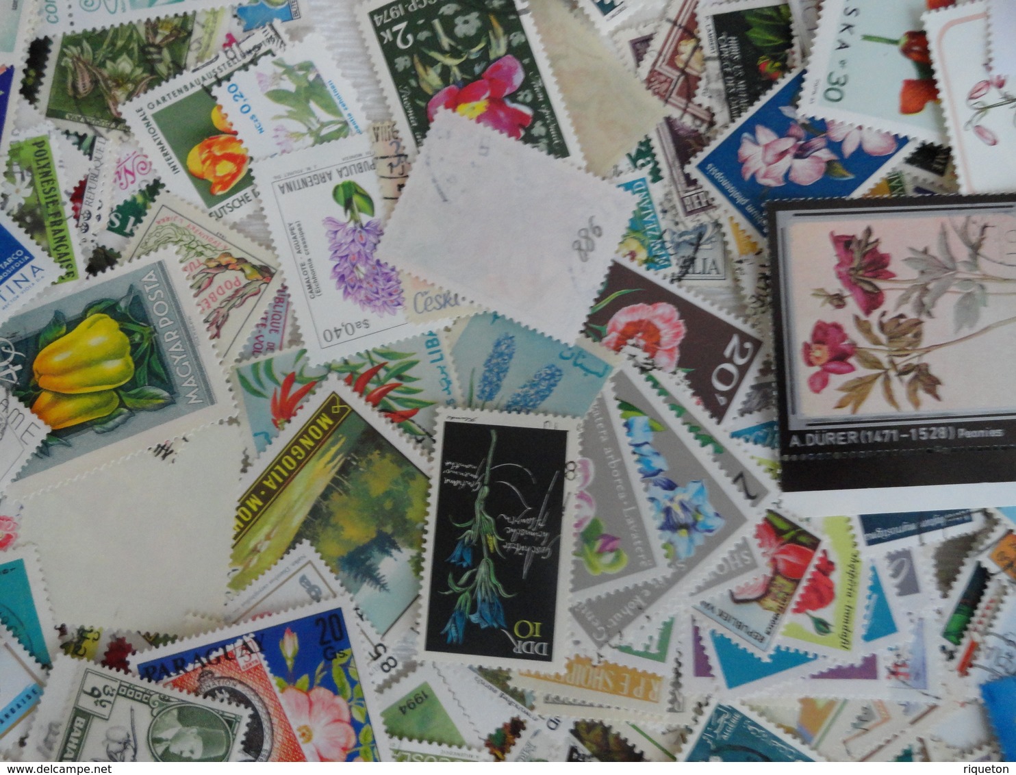 Gros lot, vrac 620 gr de milliers de timbres  thématique fleurs, fruits, agrumes, plantes..Multiples tous pays - B/TB -