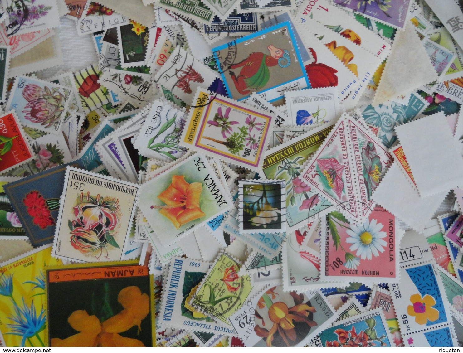 Gros lot, vrac 620 gr de milliers de timbres  thématique fleurs, fruits, agrumes, plantes..Multiples tous pays - B/TB -