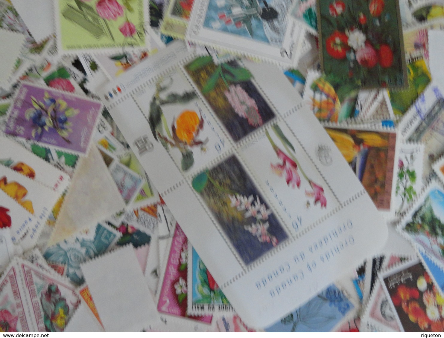 Gros lot, vrac 620 gr de milliers de timbres  thématique fleurs, fruits, agrumes, plantes..Multiples tous pays - B/TB -