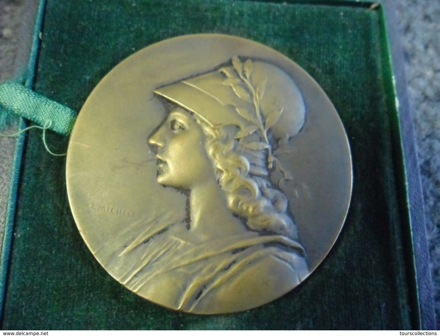 MEDAILLE BRONZE 55 Mm Pour 68 Gr. - Signée F. MICHELET Offert Par Le Comte D'Andigné (Anjou) Allégorie Femme Guerrière - Professionals / Firms