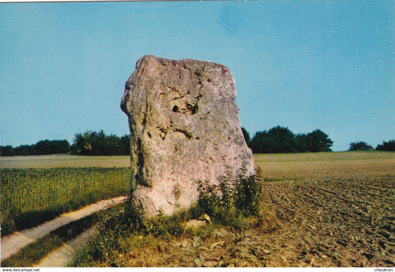 72. CONNERRE. CPSM. LE MENHIR + TEXTE - Dolmen & Menhirs