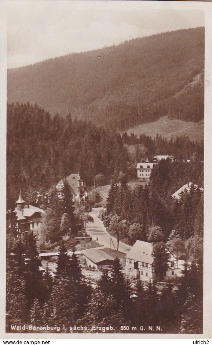 AK Wald-Bärenburg - Sächs. Erzgebirge  (50419) - Altenberg
