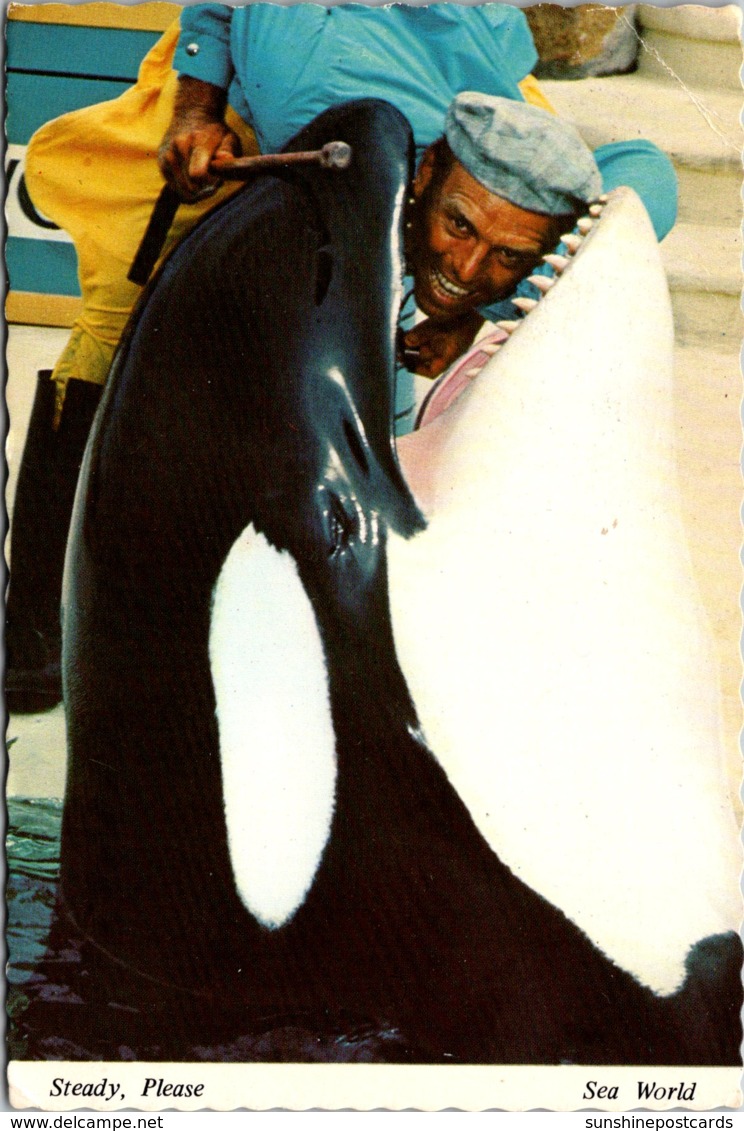 Caalifornia San Diego Sea World Shamu The Killer Whale 1972 - San Diego