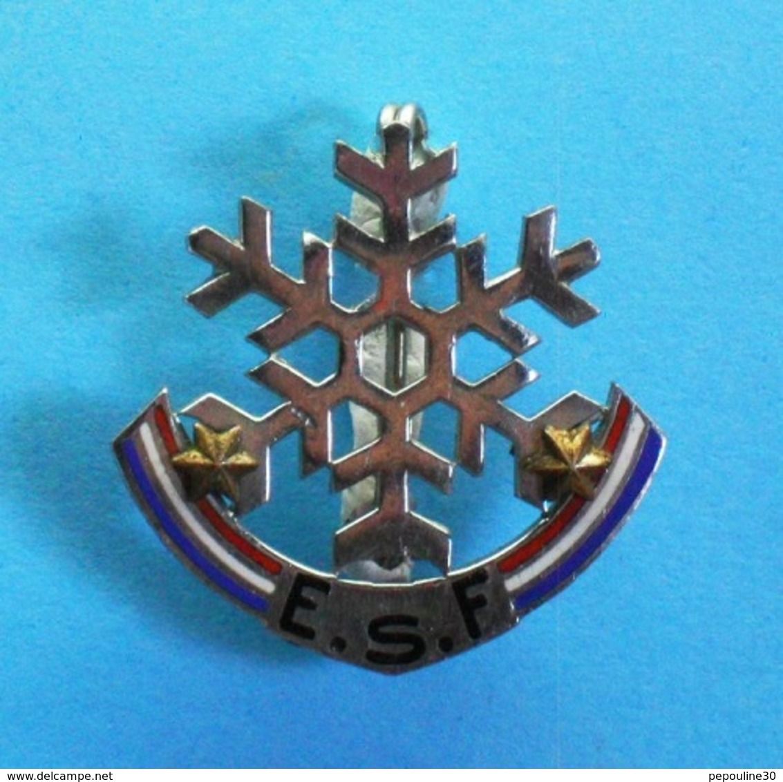 1 BROCHE  //   ** E.S.F / ÉCOLE DU SKI FRANÇAIS / 2 ETOILES ** . (Montereau Paris) - Wintersport