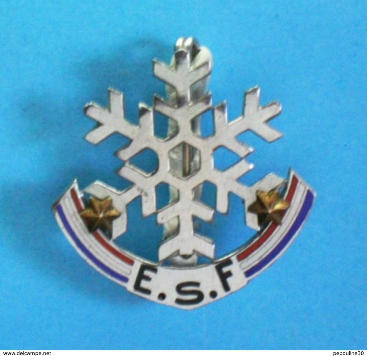 1 BROCHE  //   ** E.S.F / ÉCOLE DU SKI FRANÇAIS / 2 ETOILES ** . (Montereau Paris) - Wintersport