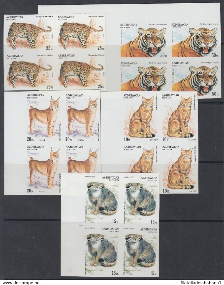 F-EX15600 AZERBAIJAN RUSSIA RUSIA MNH 1994 IMPERF PROOF FELINE LION TIGER CATS - Azerbaiyán