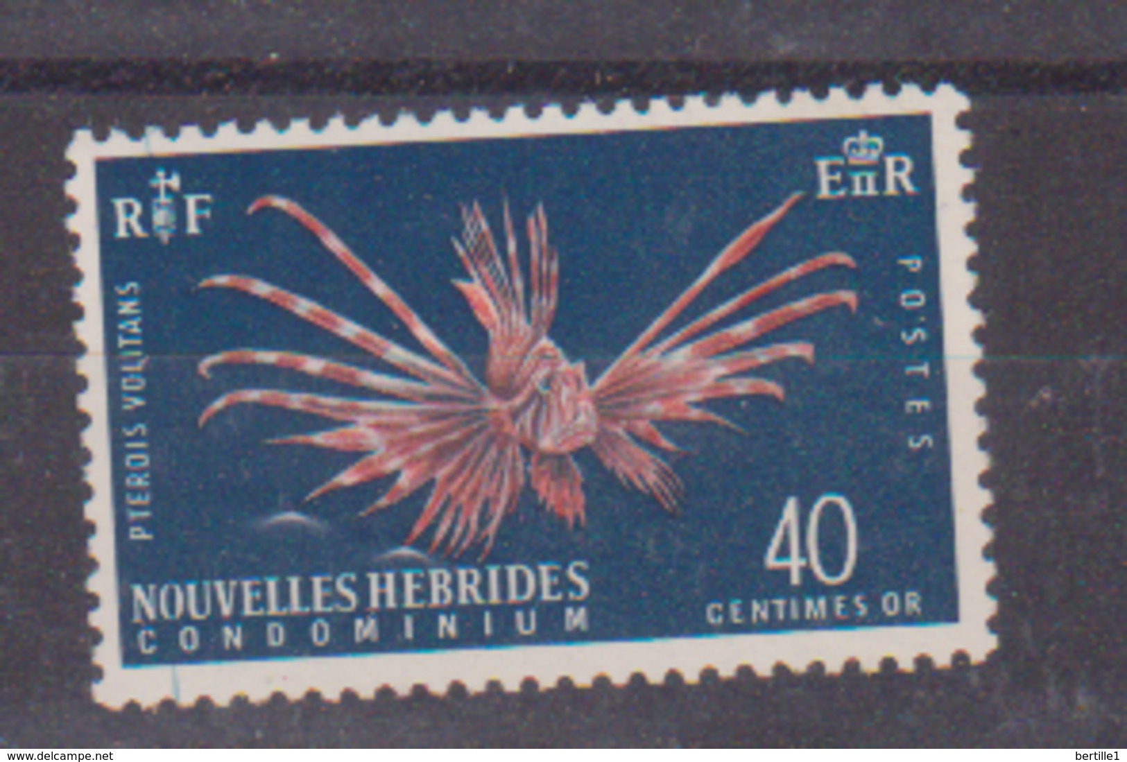 NOUVELLES HEBRIDES            N° YVERT    217    NEUF SANS CHARNIERES     ( Nsch 02/ 25 ) - Nuevos