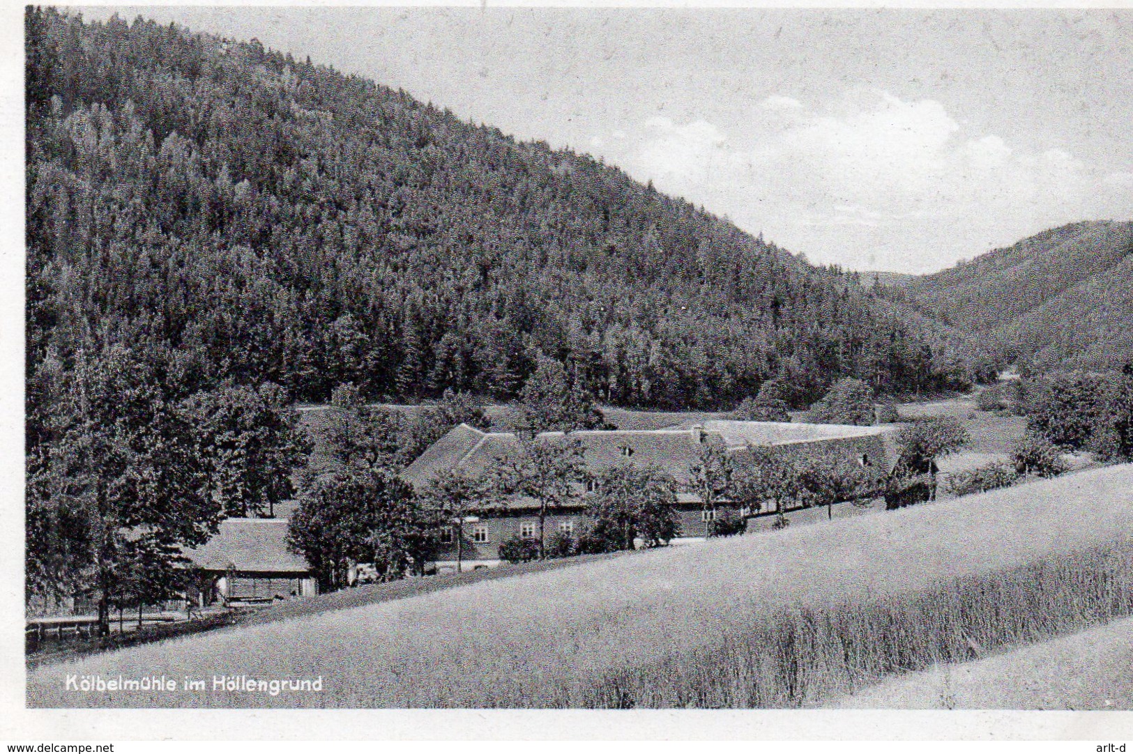 DC1015 - Reichenbach Im Vogtland Gastwirtschaft Kölbelmühle - Reichenbach I. Vogtl.