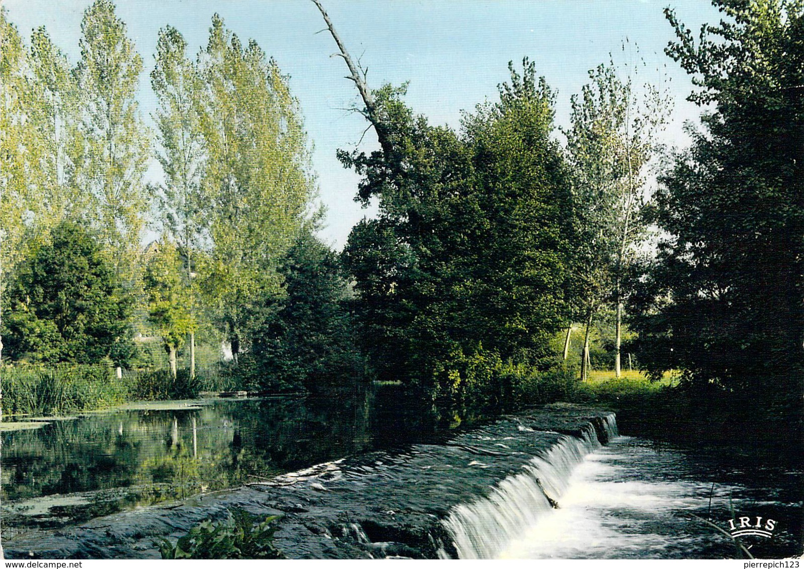 79 - Thouars - Les Bords Du Thouet, Chaussée Du Pommier Plage - Thouars