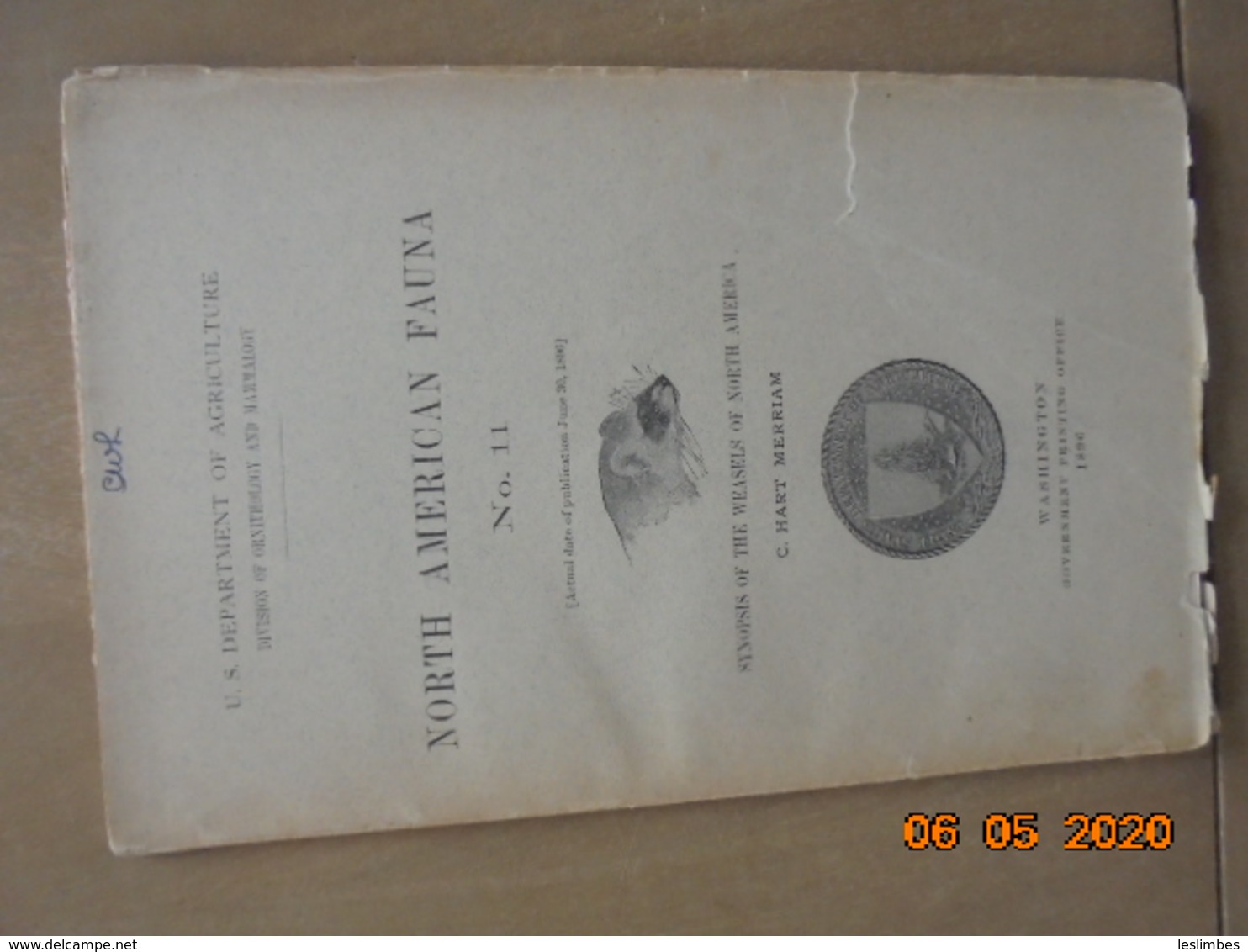 Synopsis Of The Weasel Of North America. North American Fauna No.11 By C. Hart Merriam, 1896 - Vita Selvaggia